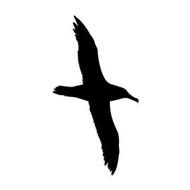 Albatross-Silhouette-Stencil-thumb.jpg