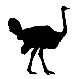Ostrich-Silhouette-Stencil-thumb.jpg